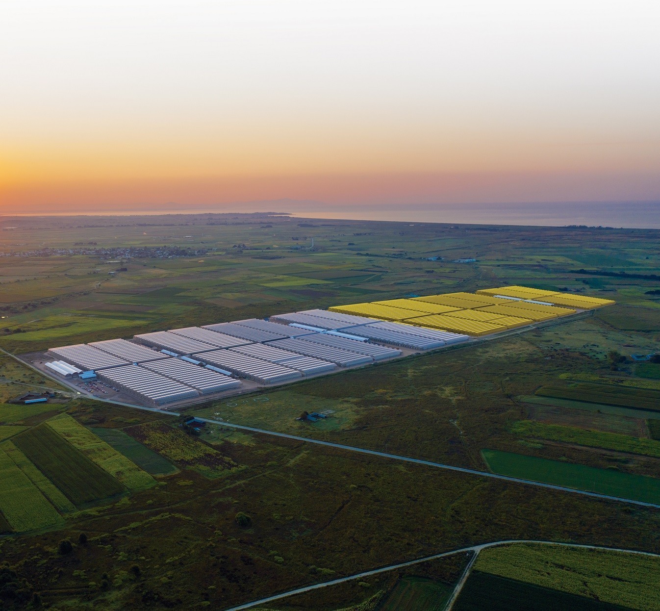 Θερμοκήπια Θράκης: Ανανέωση εταιρικής ταυτότητας και στρατηγική ανάπτυξη