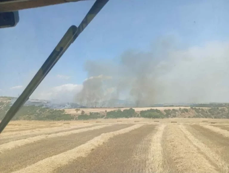 Φωτιά σε δασική έκταση στις Σέρρες