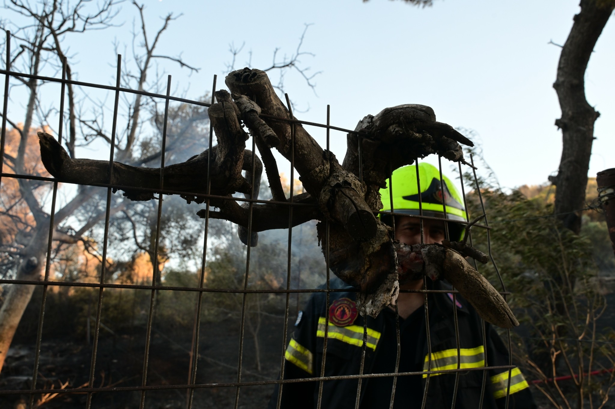 Σε ύφεση η φωτιά στη Ραφήνα, καλύτερη η εικόνα στην Ιεράπετρα (vid)
