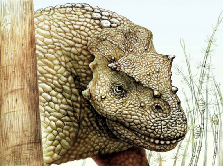 Νέο είδος δεινοσαύρου ανακαλύφθηκε στην Κίνα