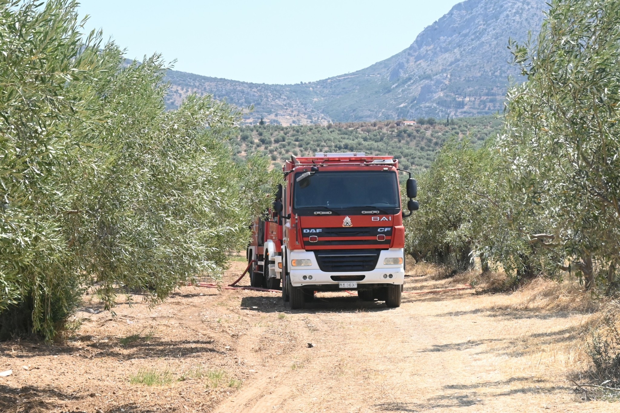 Ακραίος κίνδυνος φωτιάς: Ποιες περιοχές στην Ελλάδα τίθενται σε κατάσταση συναγερμού το Σάββατο 9/8
