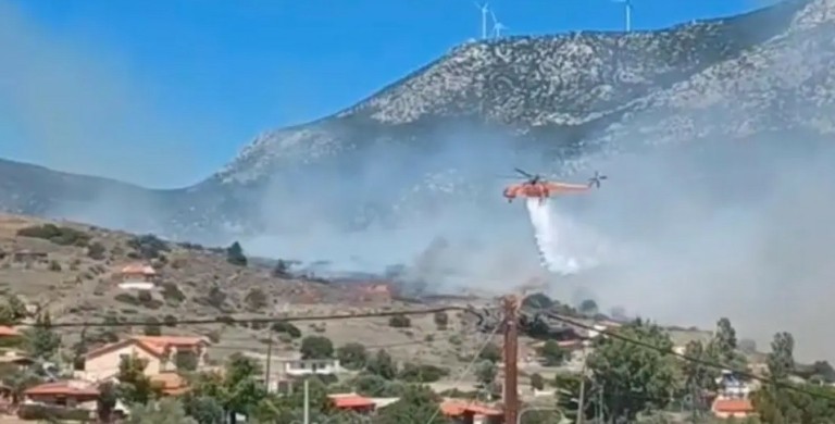 Φωτιά στην Βοιωτία – Μήνυμα από το 112 για εκκένωση της Αλυκής