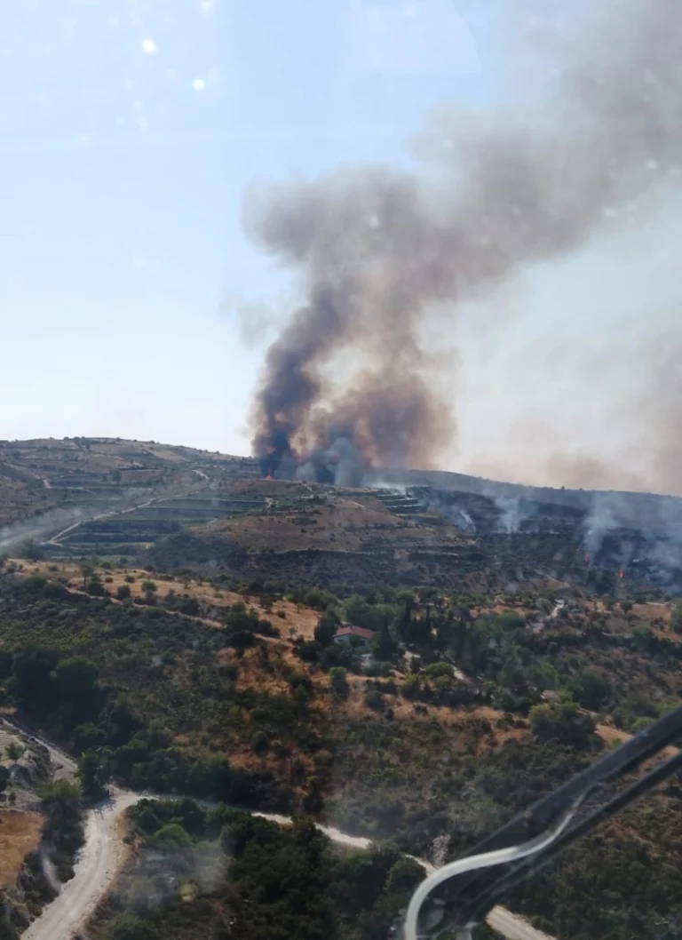 Διάσπαρτες εστίες σε Εύβοια και Κύθηρα – Σε ύφεση η πυρκαγιά στη Μεσσηνία (upd)