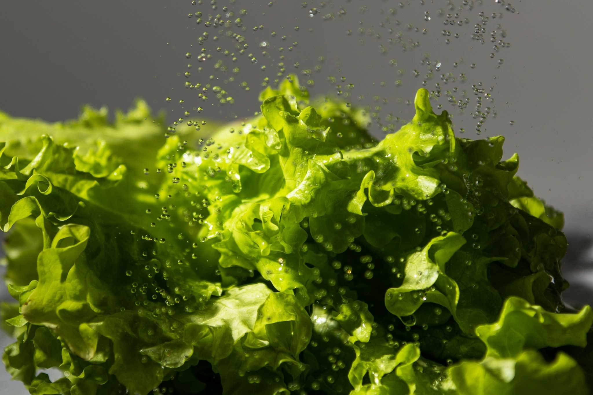 Μαρούλι: Πώς θα διατηρήσετε φρέσκο το αγαπημένο σας λαχανικό για 14 ημέρες