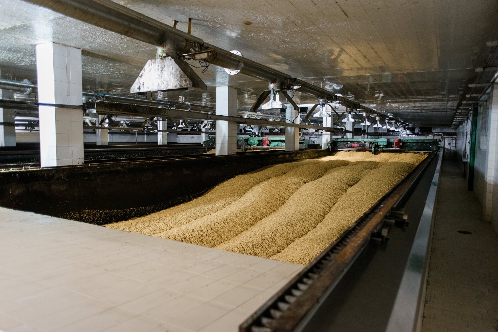 Το εθνικό κεφάλαιο μιας ζυθοποιίας με δυνατές ρίζες