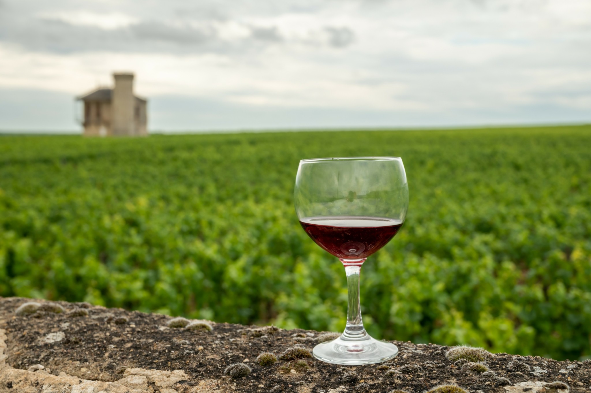 Γαλλικό κρασί: Οι δασμοί Τραμπ έφεραν ζημίες άνω του 1 δισ. ευρώ