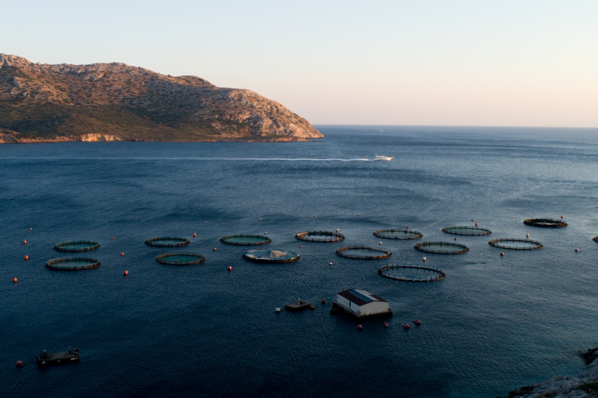 Απόφαση σταθμός για τον Πόρο: Οριστικό «όχι» στο σχέδιο ιχθυοκαλλιεργειών που θα κάλυπτε το 25% της ακτογραμμής
