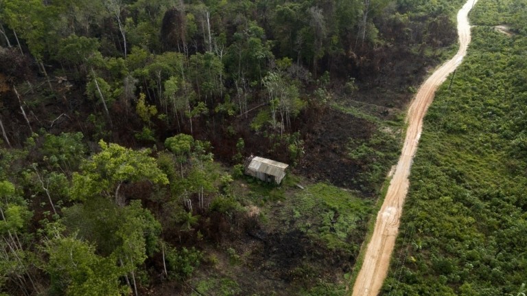 Αμαζόνιος: Μειώθηκαν οι καμένες εκτάσεις στη Βραζιλία τον Ιούλιο 2025