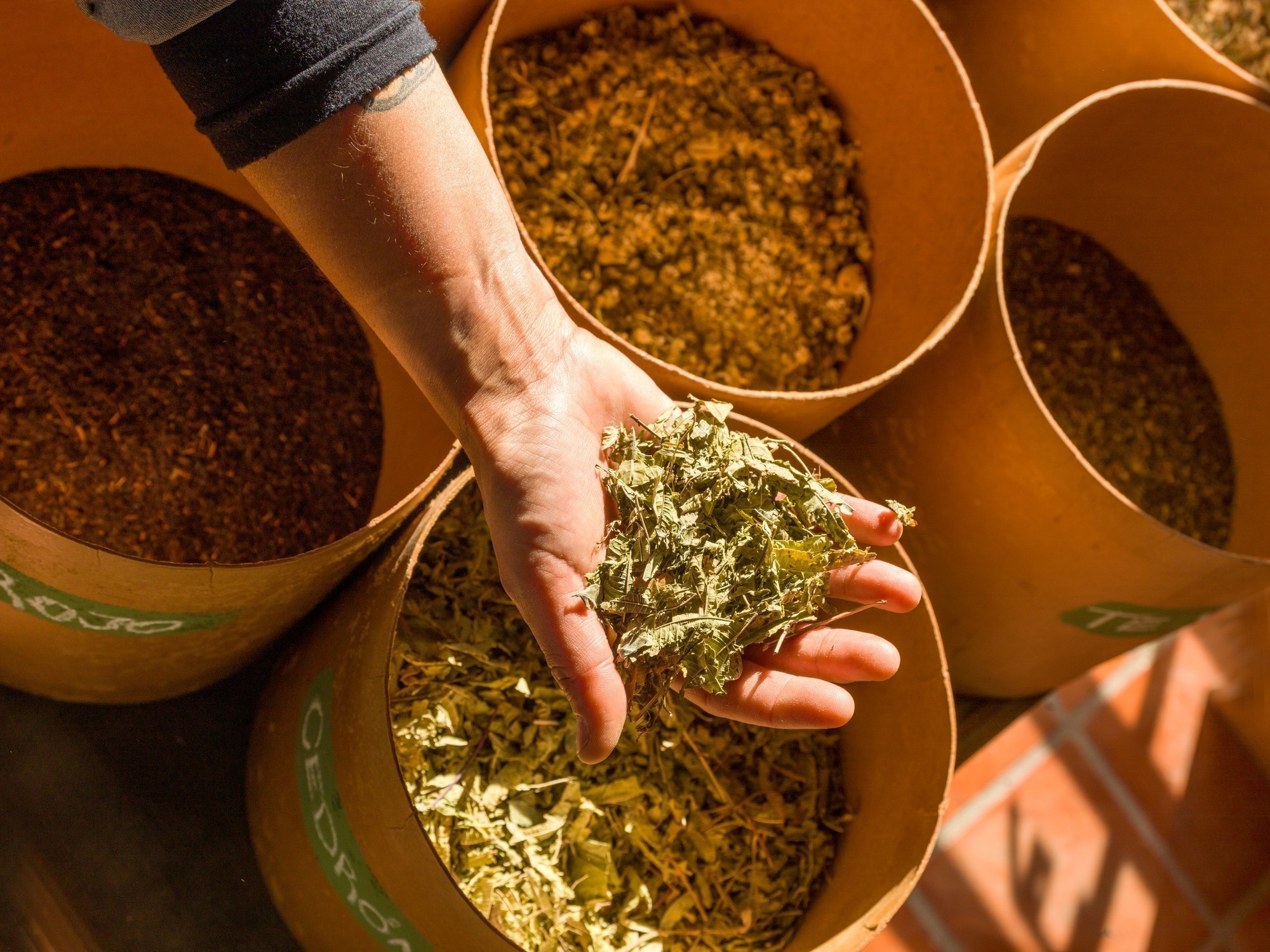 Γιατί η λουίζα αποκαλείται φυτικό Ozempic