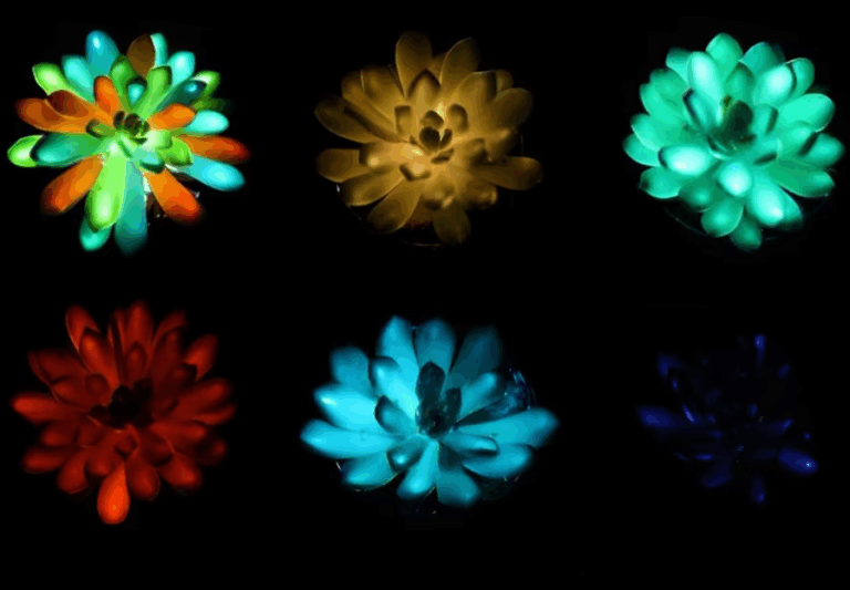 Επιστήμονες δημιούργησαν φυτά που «φορτίζουν» και λάμπουν στο σκοτάδι (pics)