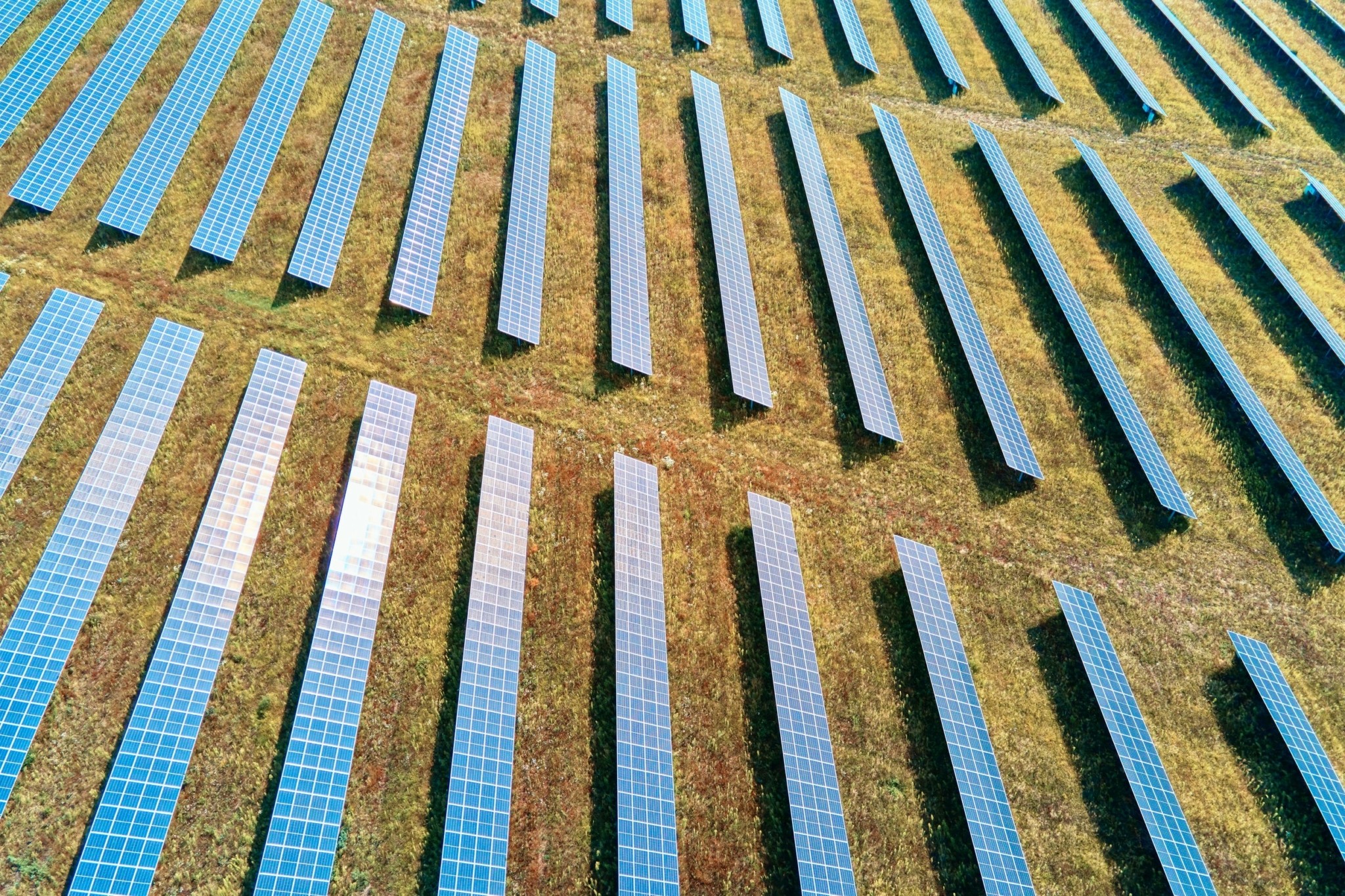 Πώς το διάταγμα του Τραμπ επηρεάζει τον έλεγχο των πρότζεκτ καθαρής ενέργειας