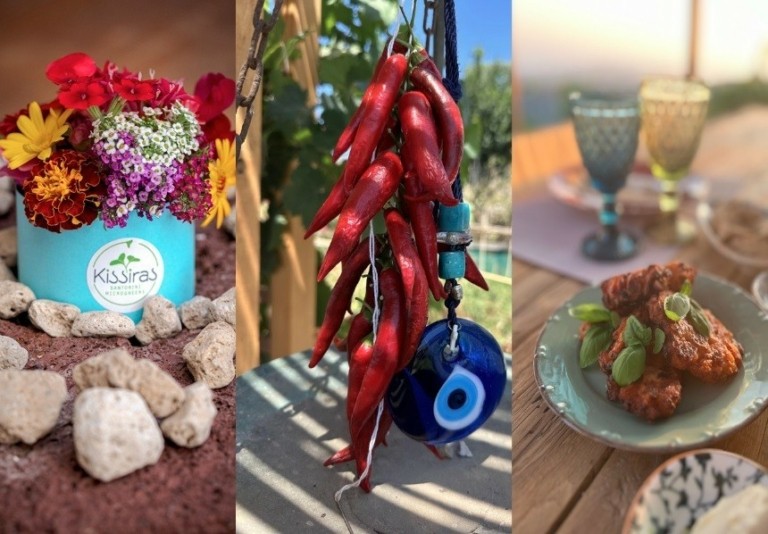 Kissiras: Η φάρμα της Σαντορίνης που ξαναγράφει την επιχειρηματικότητα από το χώμα στο τραπέζι (pics)