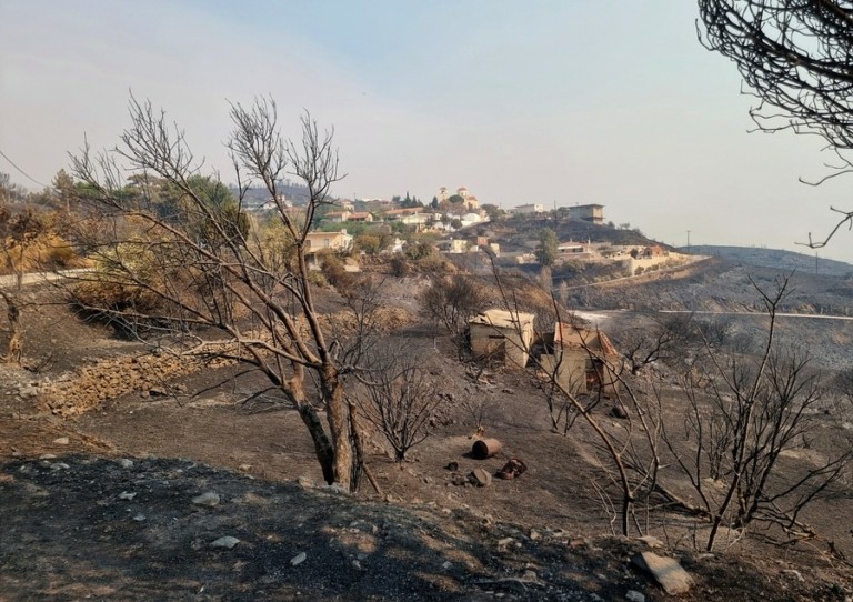 ΕΑΕΕ: Αποζημιώσεις 9 εκατ. ευρώ για 229 ζημιές από τις δασικές πυρκαγιές του 2025