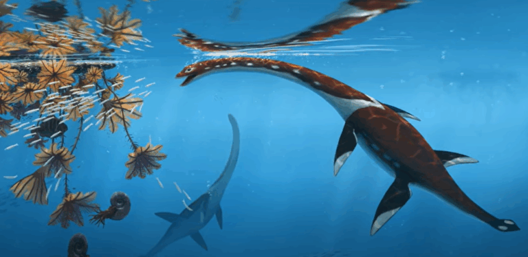 Βρέθηκε απολίθωμα θαλάσσιου πλάσματος με λαιμό που ξεπερνά το ένα μέτρο (vid)