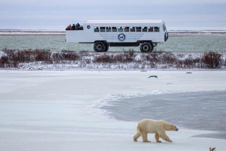 Το ταξίδι για σαφάρι ζει πάλι μεγάλες δόξες