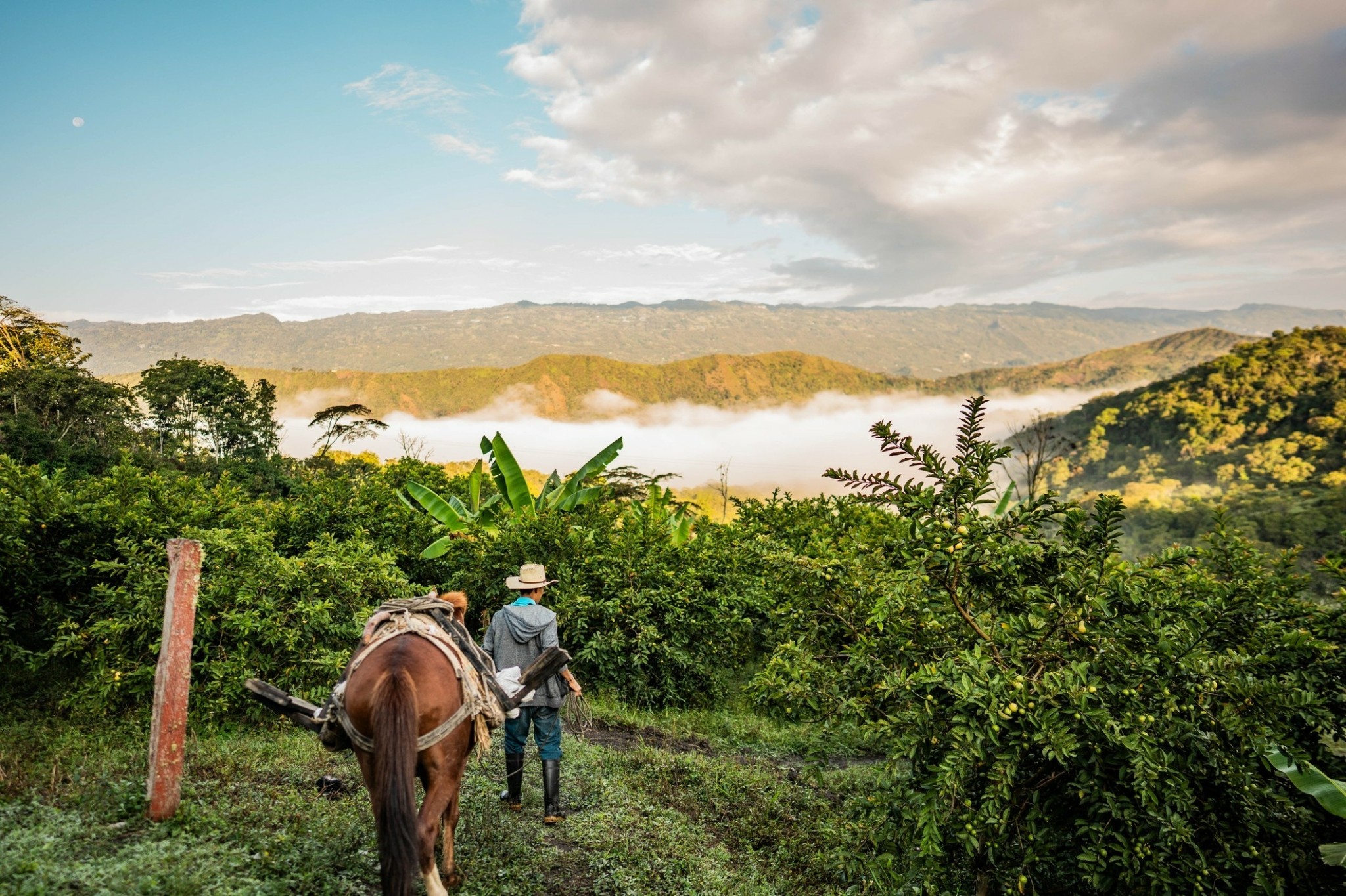 Μεδεγίν: Η μεταμόρφωση μιας ναρκοπρωτεύουσας σε πόλη καινοτομίας