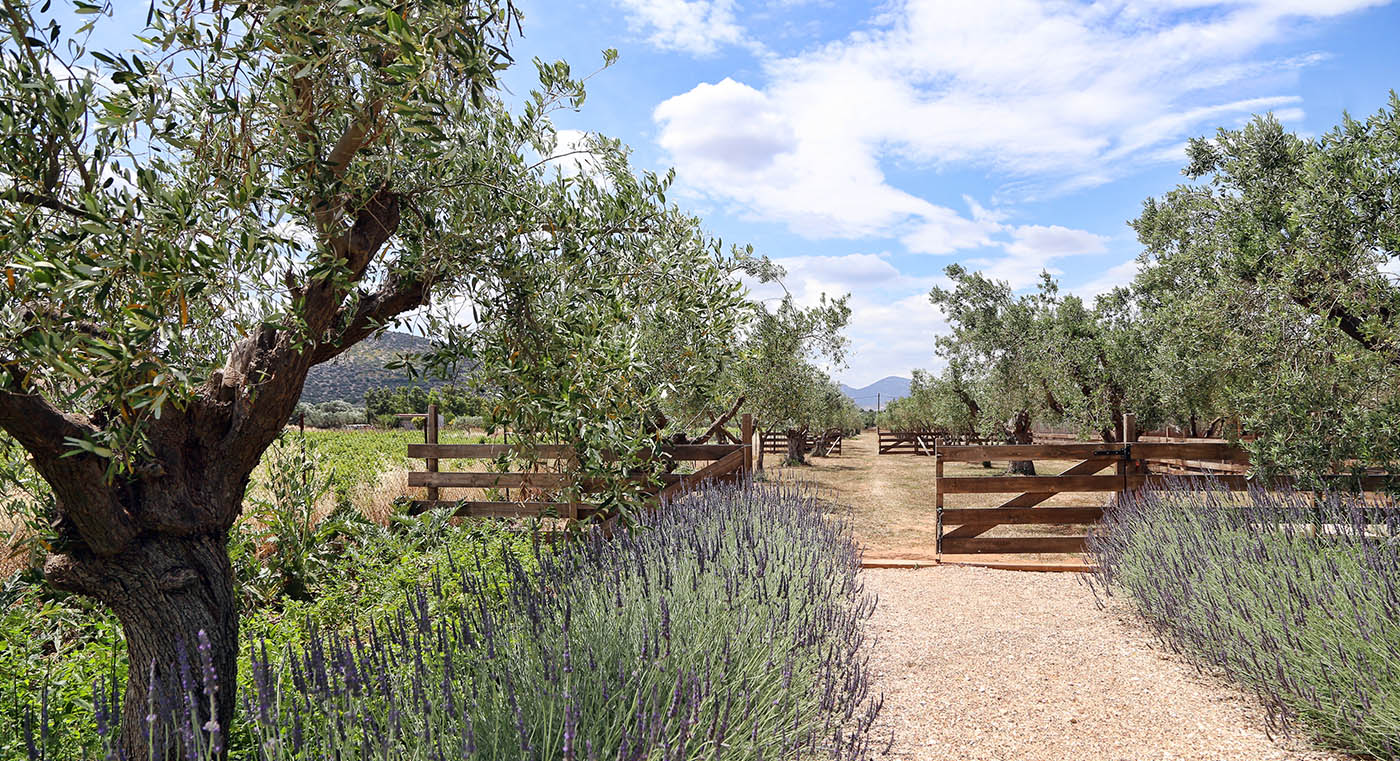 5 ελληνικά εστιατόρια με τη δική τους φάρμα