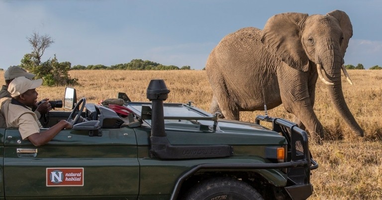 Το ταξίδι για σαφάρι ζει πάλι μεγάλες δόξες