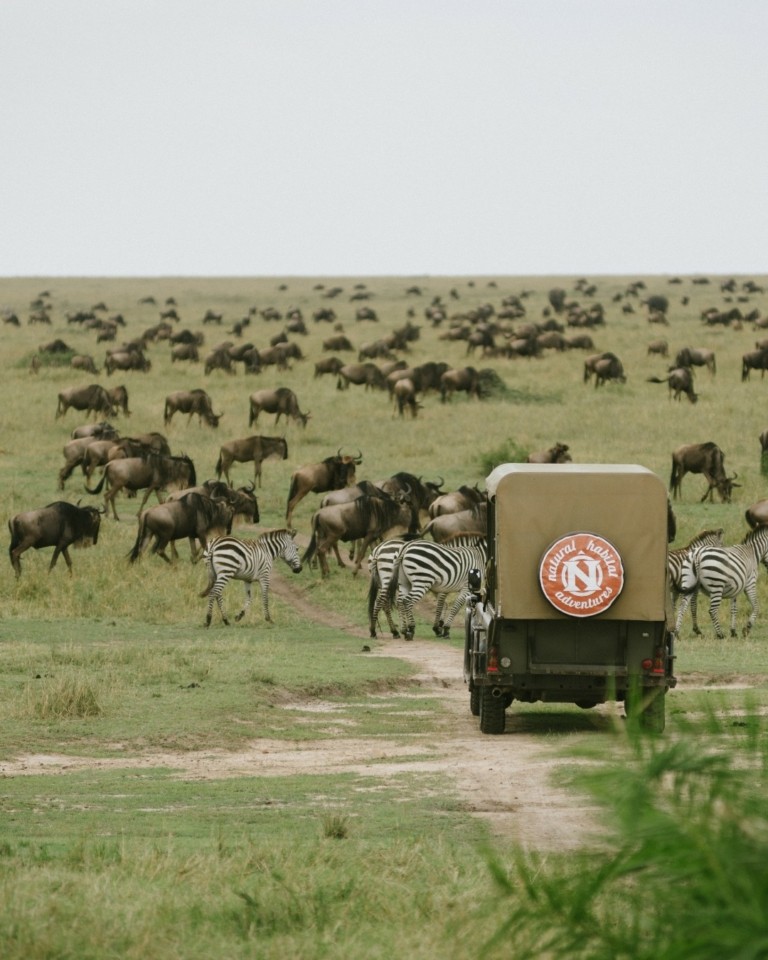 Το ταξίδι για σαφάρι ζει πάλι μεγάλες δόξες