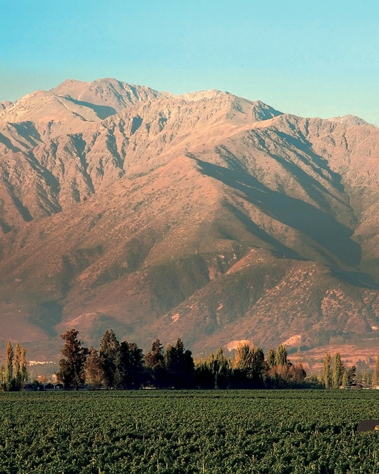 Πώς η οικογένεια Ρότσιλντ δημιούργησε ένα επικό κρασί στη Χιλή