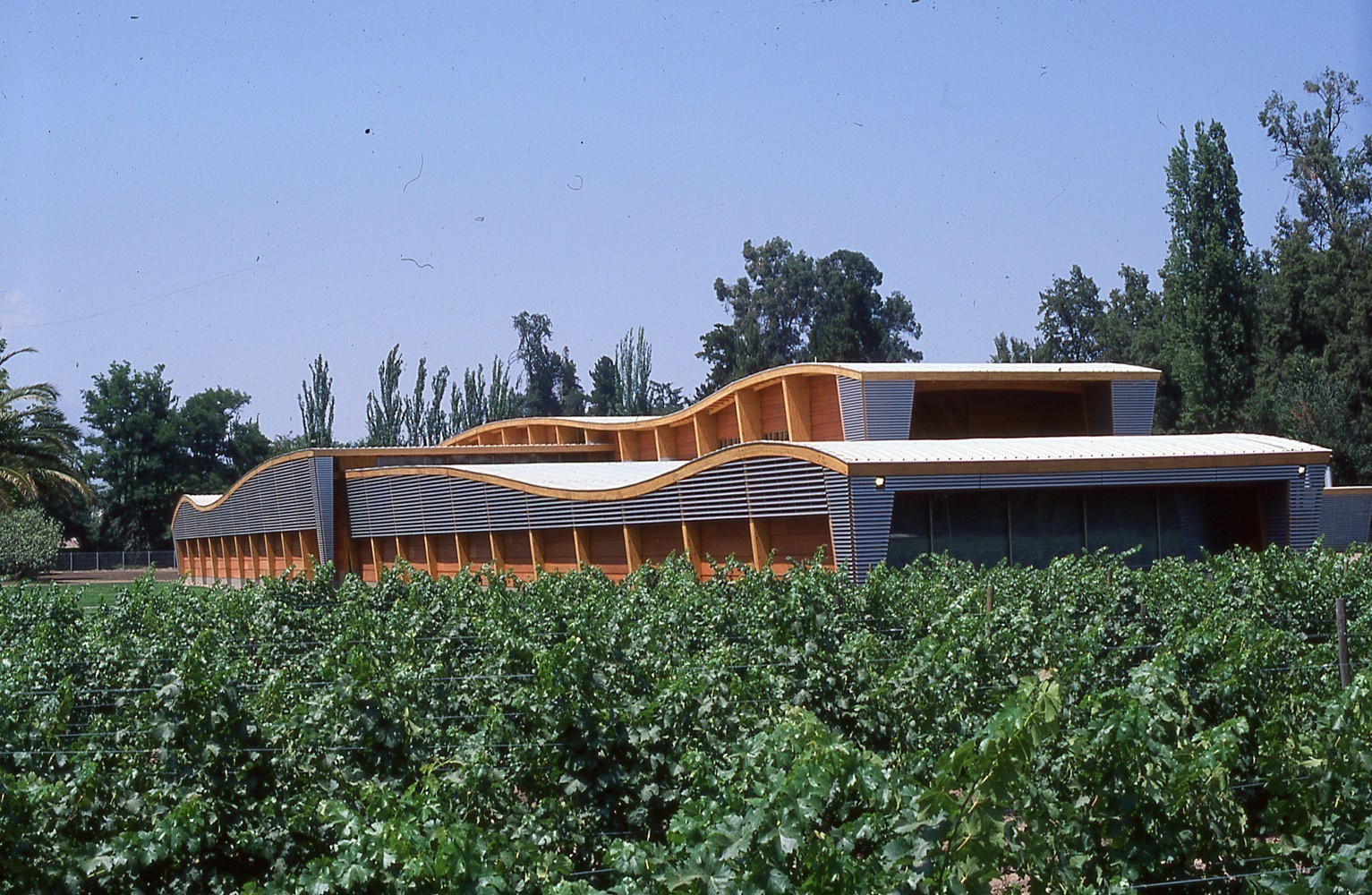 Πώς η οικογένεια Ρότσιλντ δημιούργησε ένα επικό κρασί στη Χιλή