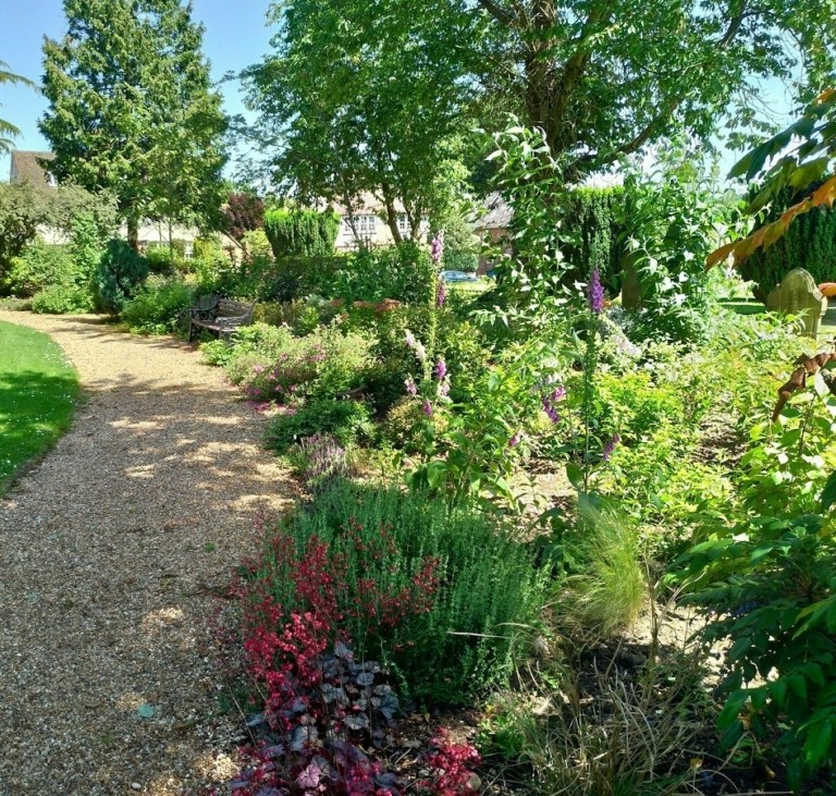 Τέλος στην κυριαρχία του γκαζόν: Ο απεριποίητος κήπος σωτήριος για τη βιοποικιλότητα