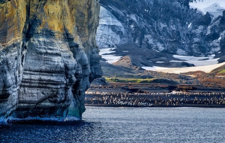 Ανταρκτική: Αρχαία μικροσκοπικά φύκια εξαφανίζονται