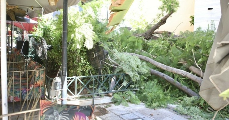 Δήμος Αθηναίων: Συνεργεία εργάζονται ήδη για την απομάκρυνση των δέντρων που έπεσαν – Οδηγίες στους πολίτες