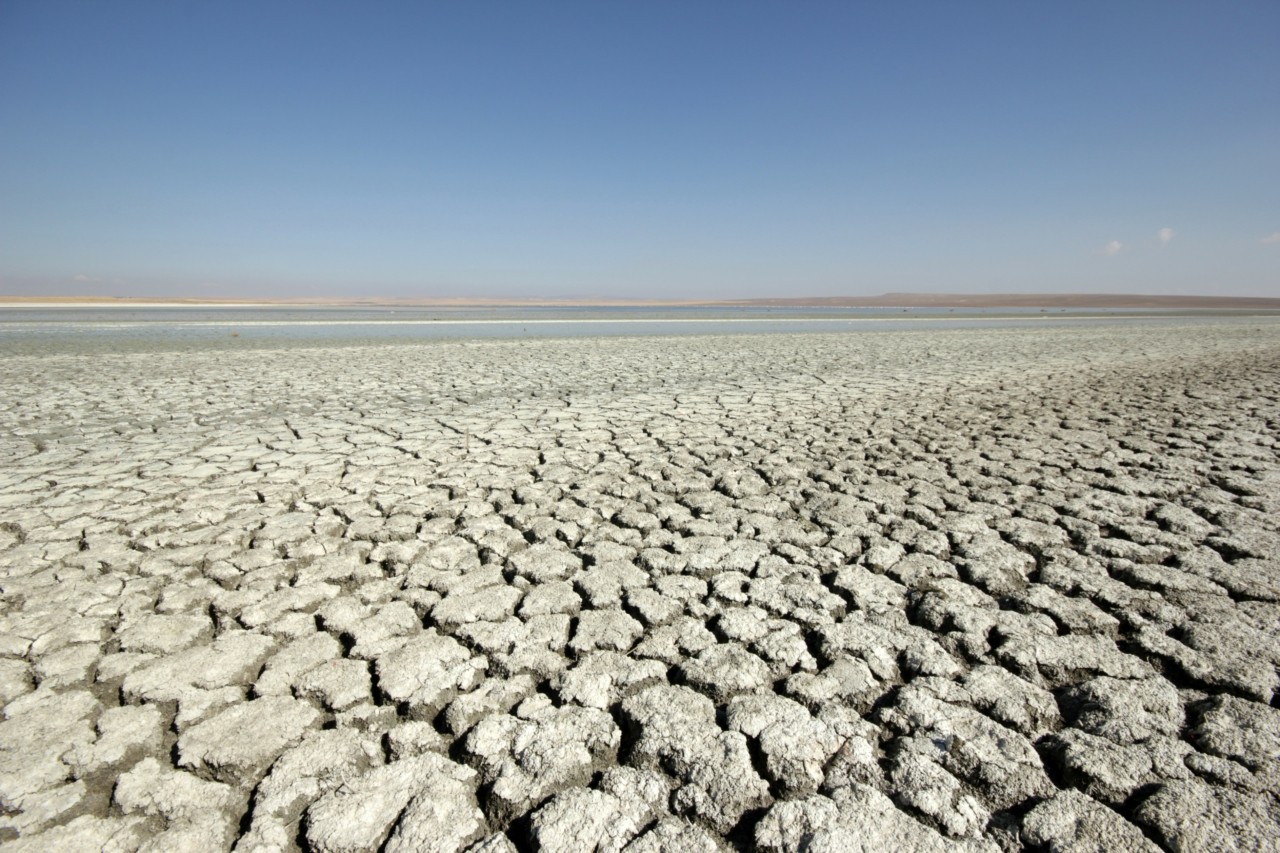 Τεχνητή νοημοσύνη: Πώς επιδεινώνει τη λειψυδρία στην ΕΕ | Ειδήσεις για την Οικονομία