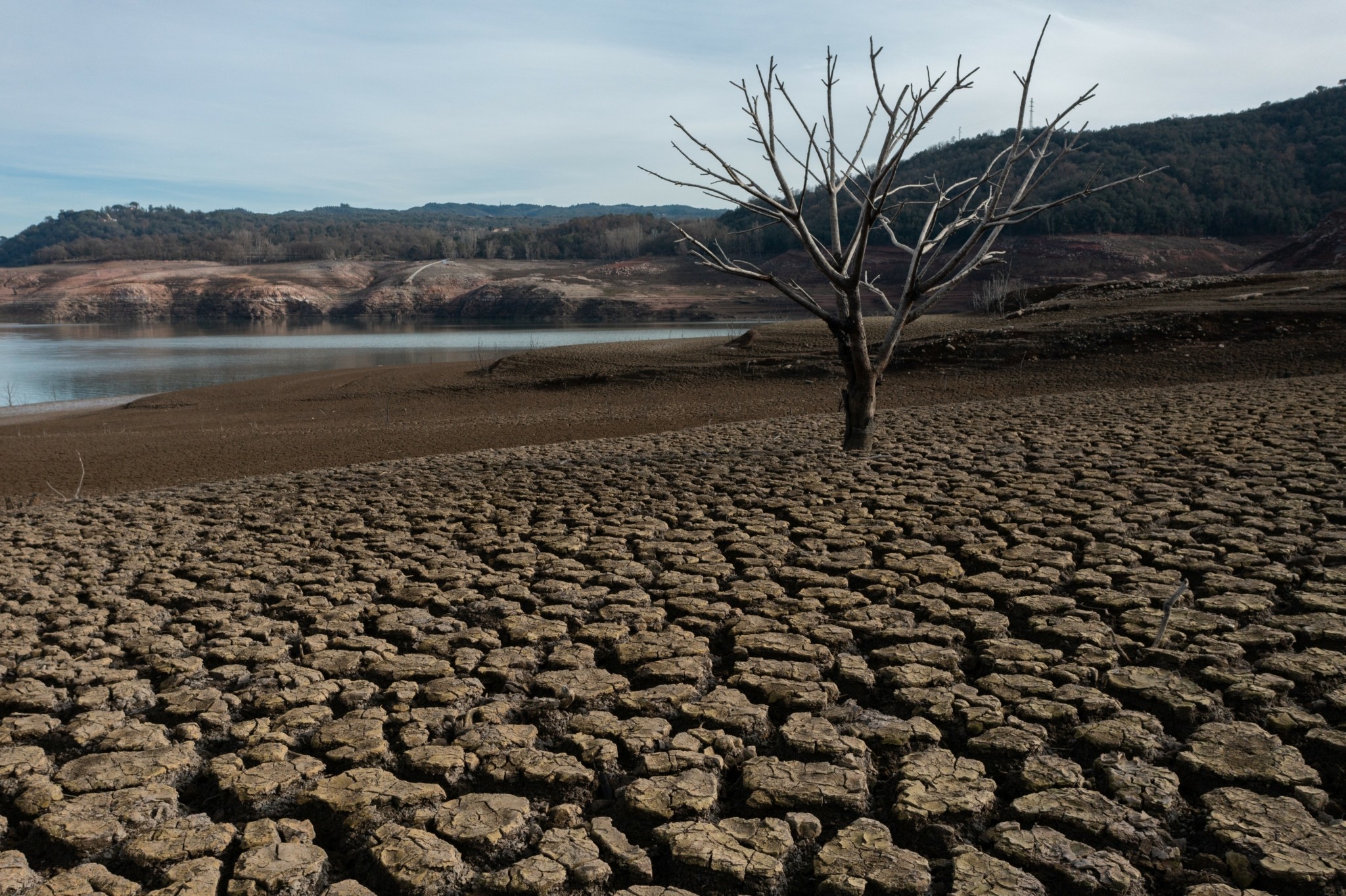 Κλιματική κρίση: Φέρνει ακραία ξηρασία, λειψυδρία και τη Γη στο σημείο μηδέν
