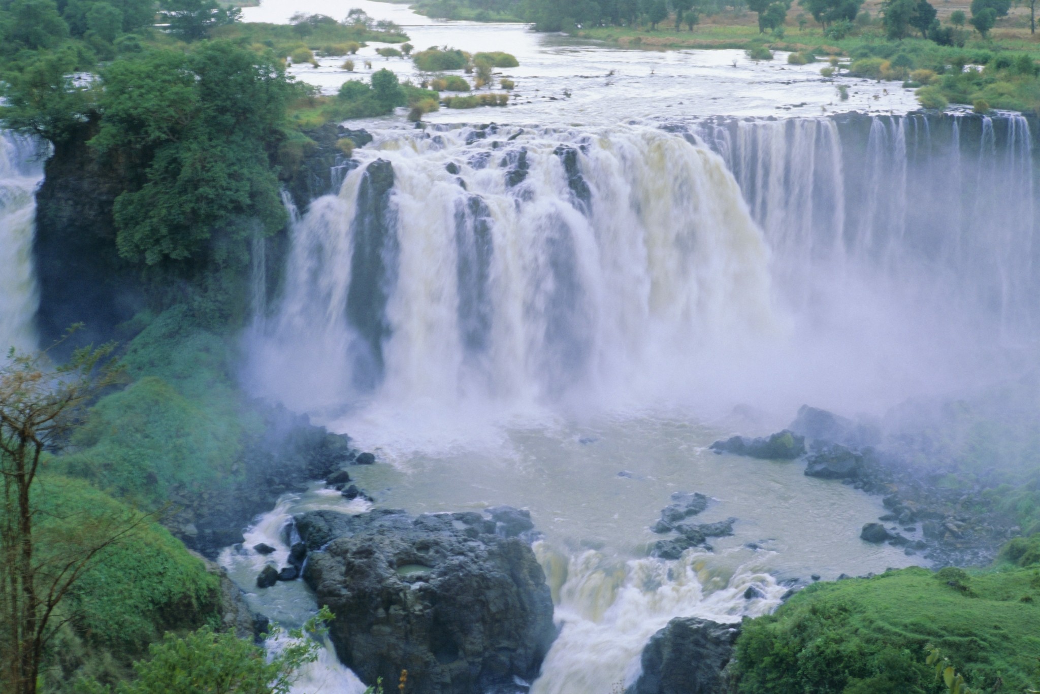 Από τη Γένεση στην Αφρική – Η τολμηρή θεωρία επιστήμονα για το πού βρίσκεται ο Κήπος της Εδέμ (vid)