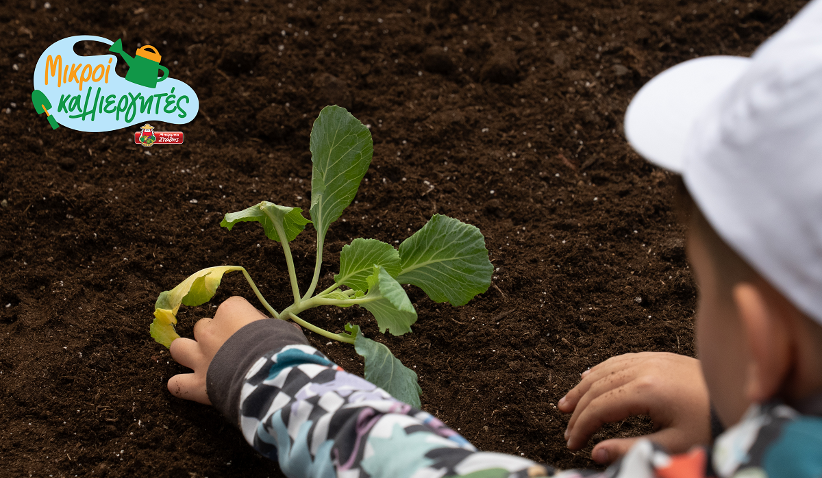 ΜΠΑΡΜΠΑ ΣΤΑΘΗΣ: Παρουσίαση του νέου εκπαιδευτικού προγράμματος «Μικροί Καλλιεργητές» | Ειδήσεις για την Οικονομία ΜΠΑΡΜΠΑ ΣΤΑΘΗΣ: Παρουσίαση του νέου εκπαιδευτικού προγράμματος «Μικροί Καλλιεργητές» | Ειδήσεις για την Οικονομία