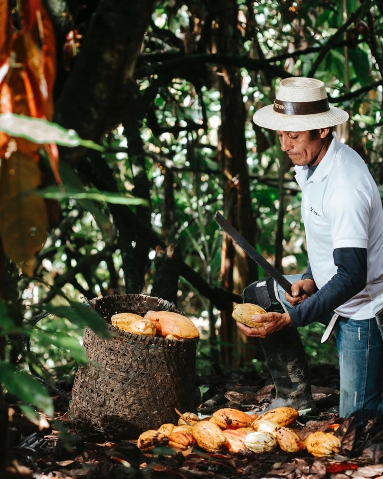 Η πιο ακριβή σοκολάτα στον κόσμο