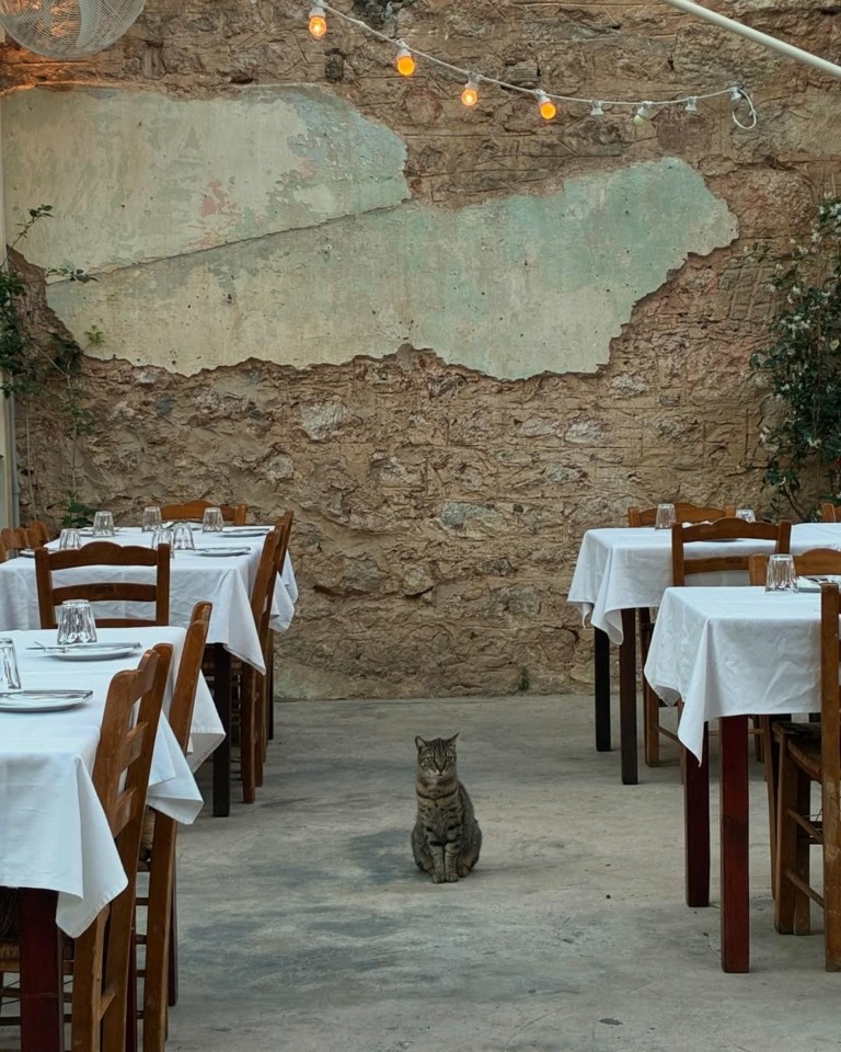 Γιατί είναι τόσο δύσκολο να βρεις τραπέζι στην Ταβέρνα των Φίλων