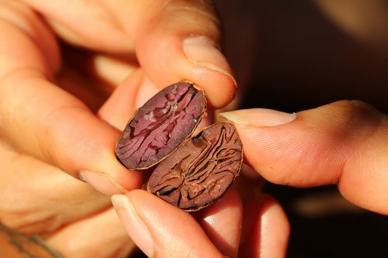 Η πιο ακριβή σοκολάτα στον κόσμο