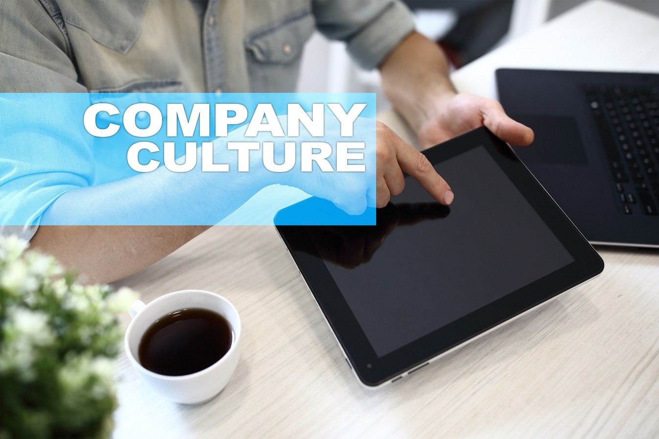 Oικολογική συνείδηση: Πώς η πράσινη κουλτούρα διαμορφώνει το νέο πρόσωπο στις επιχειρήσεις | Ειδήσεις για την Οικονομία