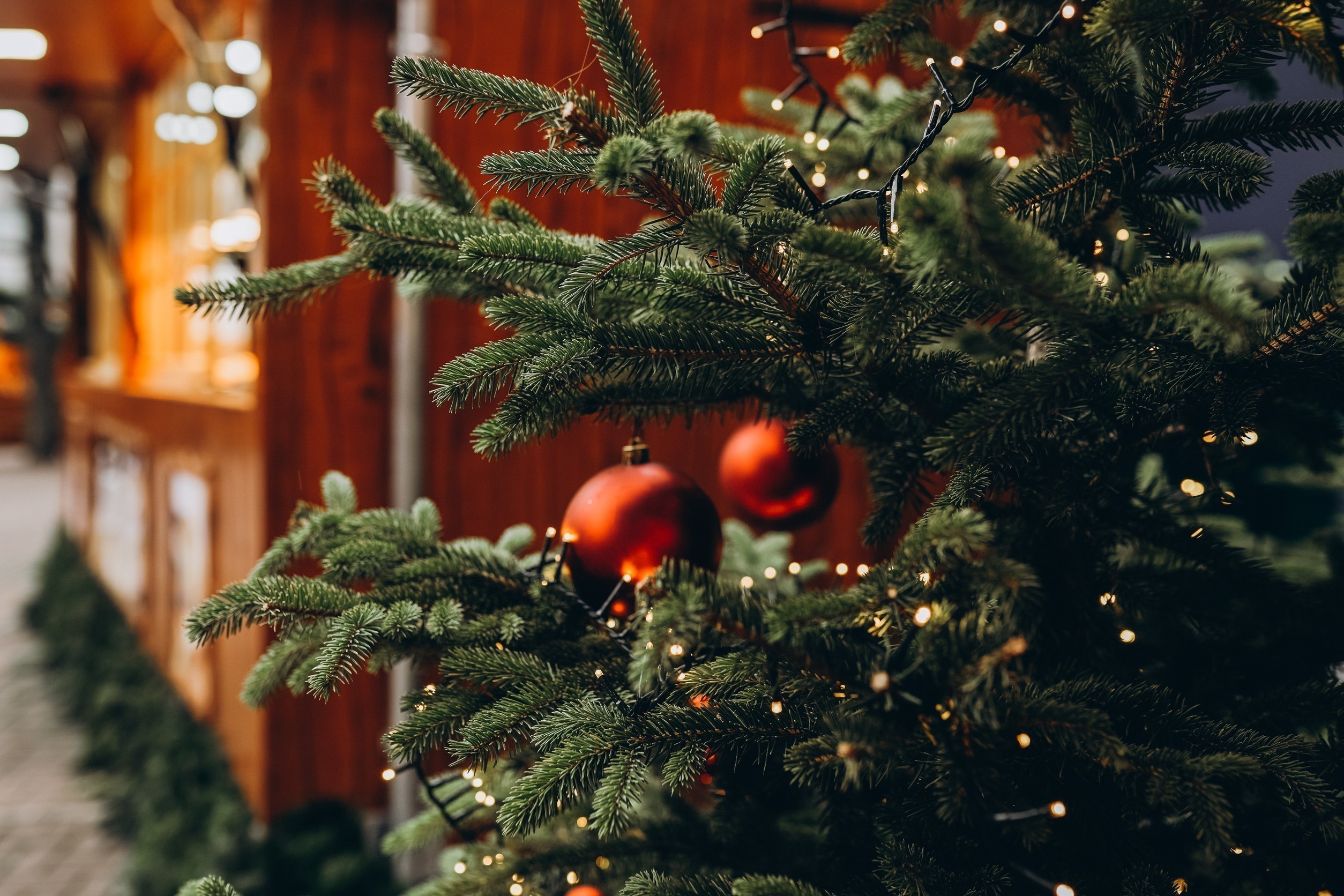 Χριστούγεννα 2025: Πλησιάζει η φωταγώγηση του πρώτου δέντρου – Πυρετώδεις οι προετοιμασίες (vid) | Ειδήσεις για την Οικονομία