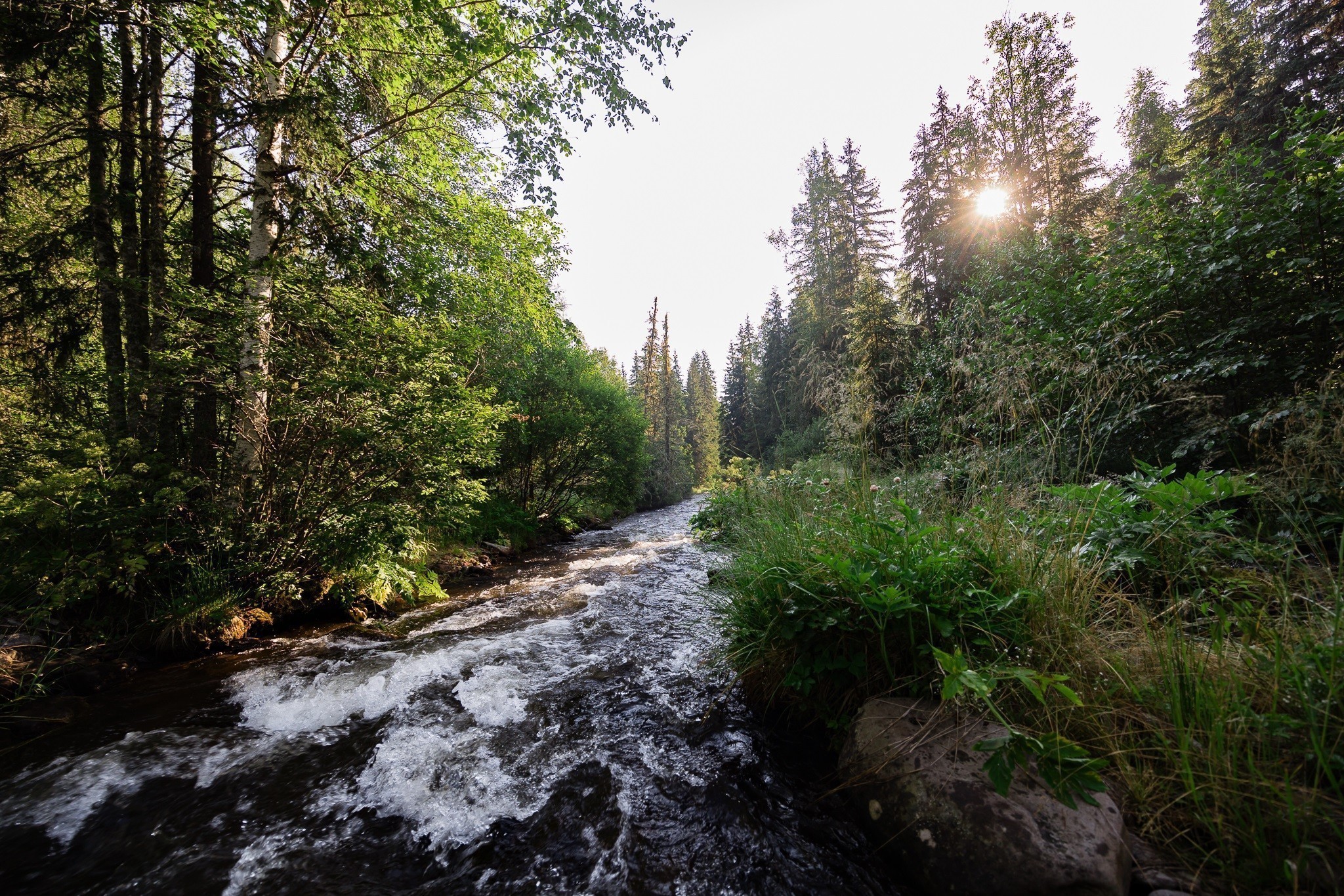 Φυσικώς ανθρακούχο νερό: Ζωντάνια και ευεξία κάθε στιγμή