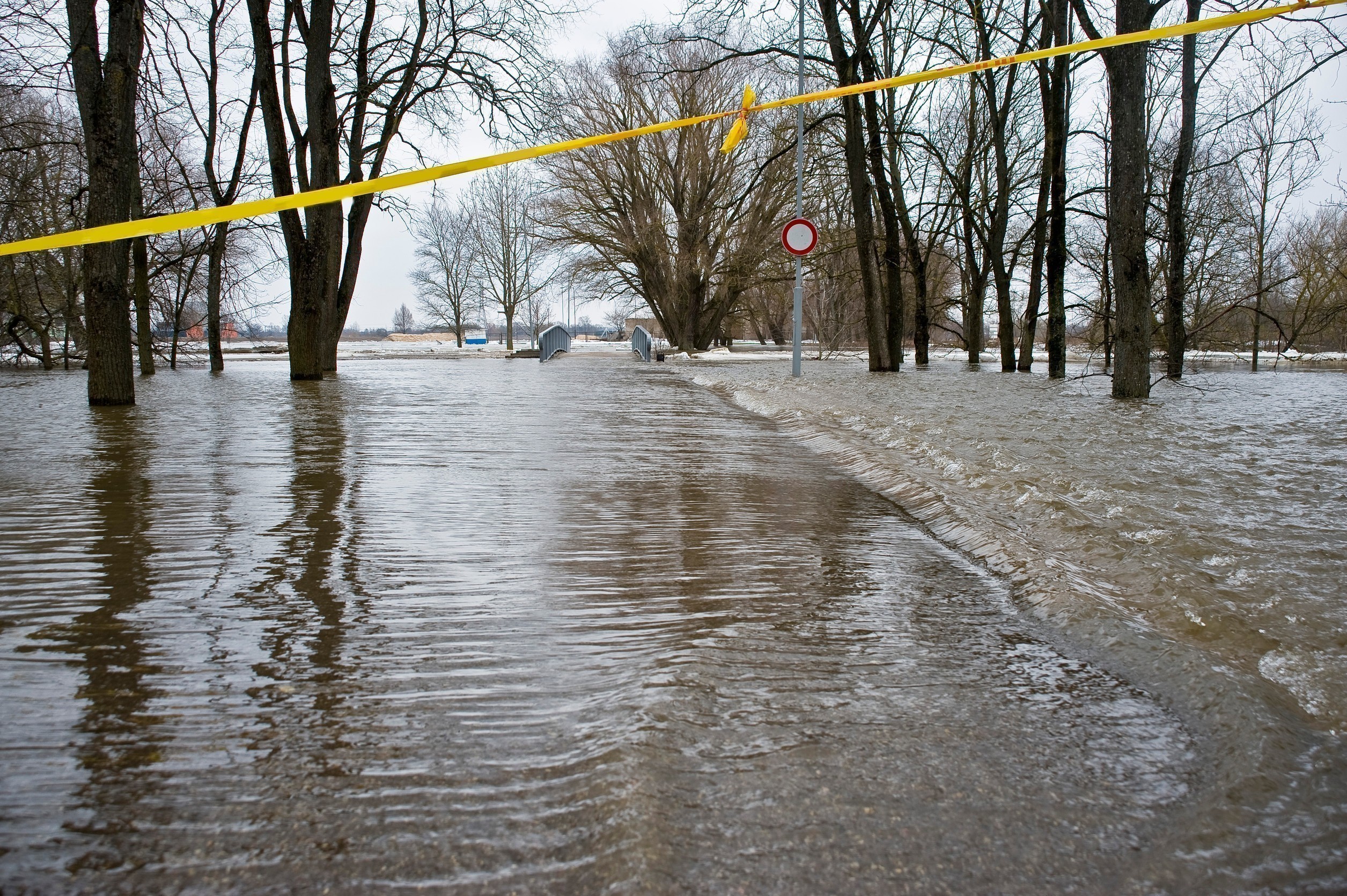 Φυσικές καταστροφές: Πώς η τεχνητή νοημοσύνη δημιουργεί ψεύτικες εντυπώσεις | Ειδήσεις για την Οικονομία