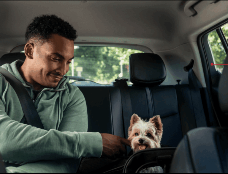 Το Uber Taxi Pet έρχεται στην Ελλάδα – Πώς λειτουργεί