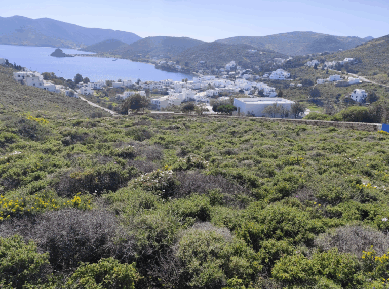 Οικογένεια Καλογρίτσα: Σε «καταιγίδα» νέων και…παλιών πλειστηριασμών το επόμενο διάστημα (pics)