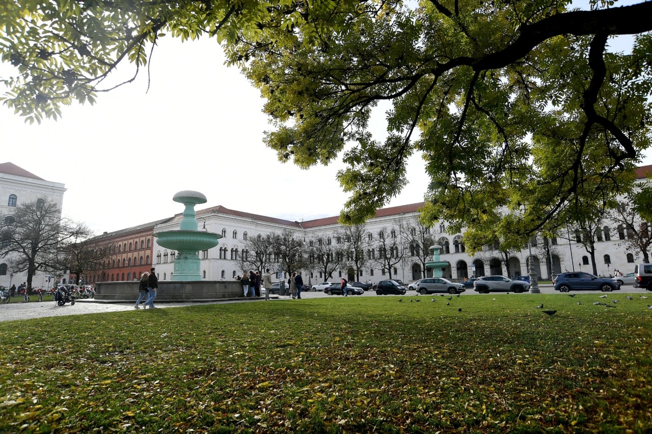 Ανοδική πορεία για τα αμερικανικά πανεπιστήμια – Αύξηση στις εγγραφές για τρίτη χρονιά | Ειδήσεις για την Οικονομία