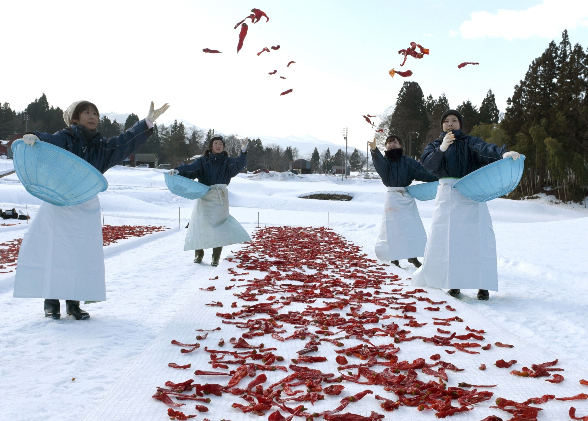 Ρολόι τουρμπιγιόν, πράσινο μετάξι και βαρέλια από δρυ – Αυτοί είναι οι λόγοι που κοστίζουν τόσο ακριβά