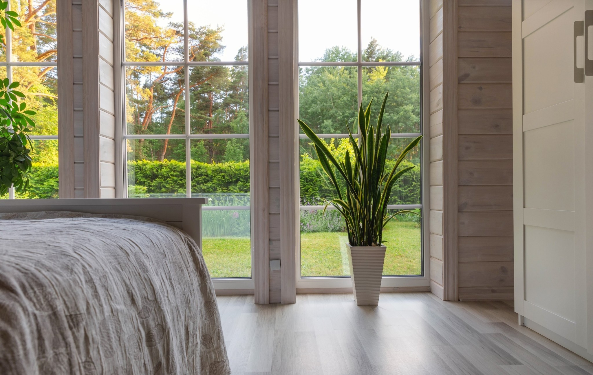 5 φυτά εσωτερικού χώρου που καθαρίζουν τον αέρα για καλύτερο ύπνο