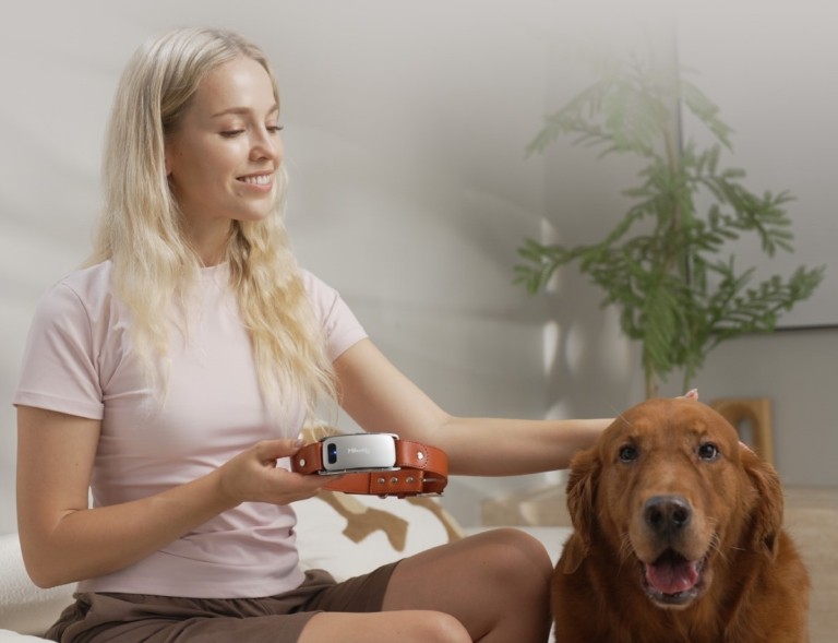 Πρωτοποριακή τεχνολογία για κατοικίδια: Έξυπνα περιλαίμια μεταφράζουν όσα λένε οι σκύλοι Πρωτοποριακή τεχνολογία για κατοικίδια: Έξυπνα περιλαίμια μεταφράζουν όσα λένε οι σκύλοι