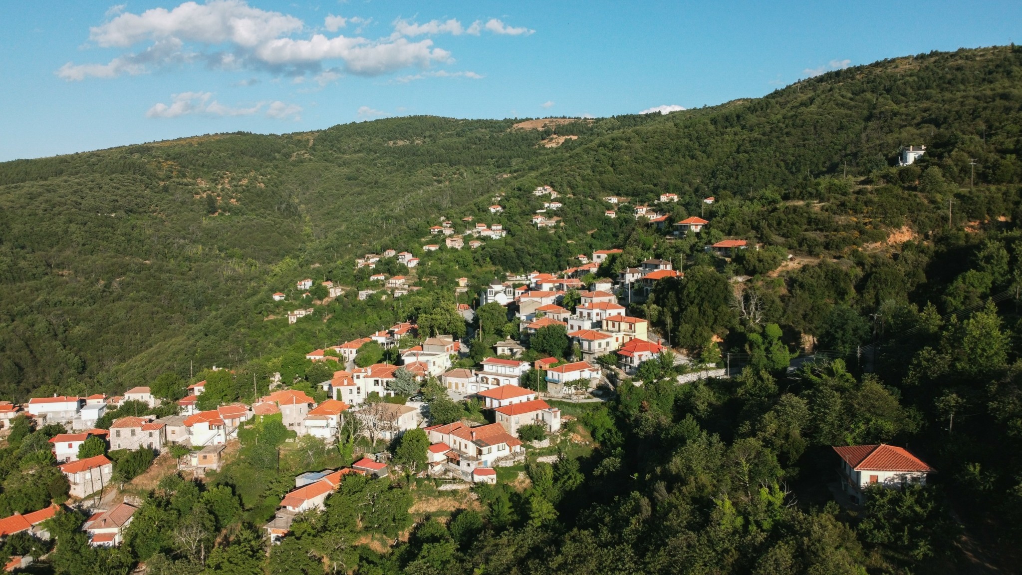 Κάστανο – Τα μυστικά του αγαπημένου χειμωνιάτικου καρπού