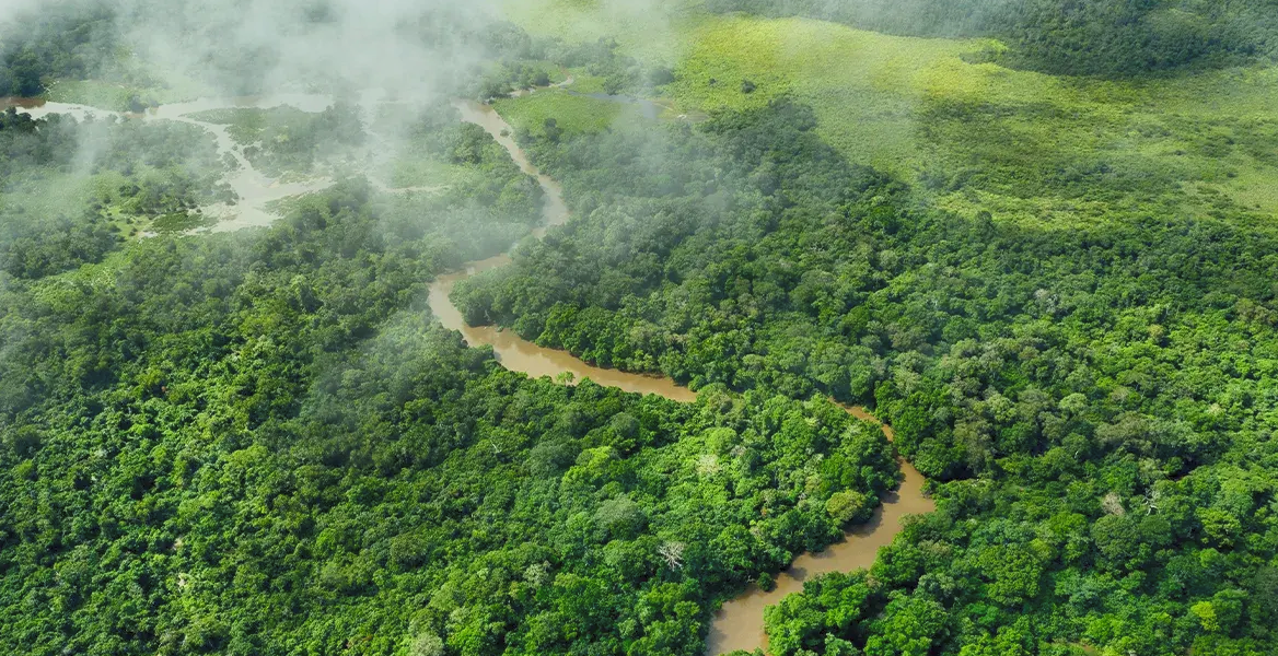 Κλιματική αλλαγή: Γιατί τα δάση του Κονγκό έχουν τόσο μεγάλη σημασία | Ειδήσεις για την Οικονομία