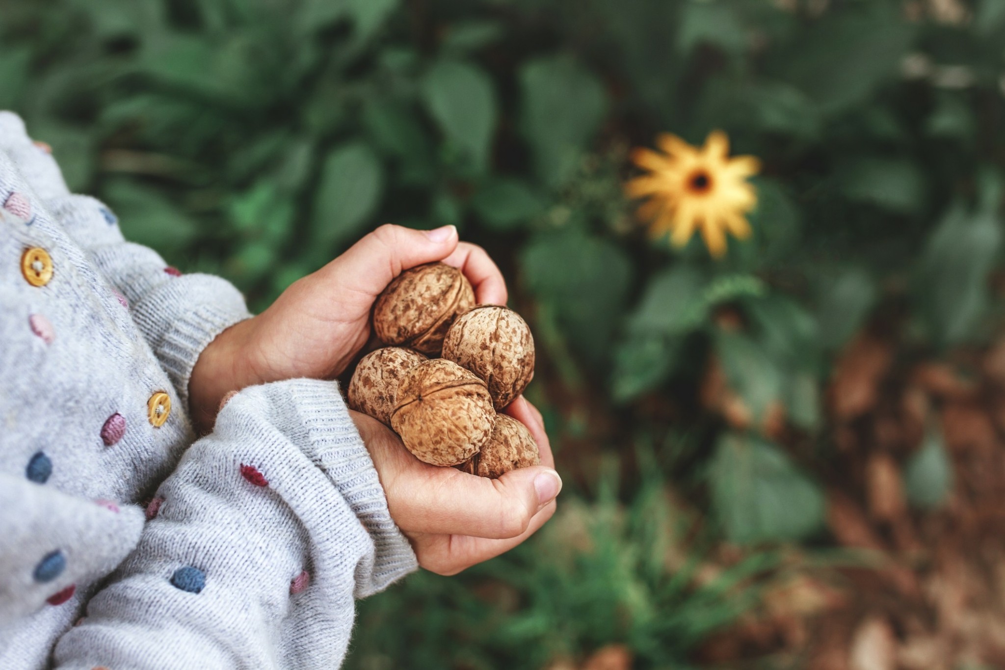 Κι όμως, το μυστικό για λιγότερους καβγάδες κρύβεται στη διατροφή
