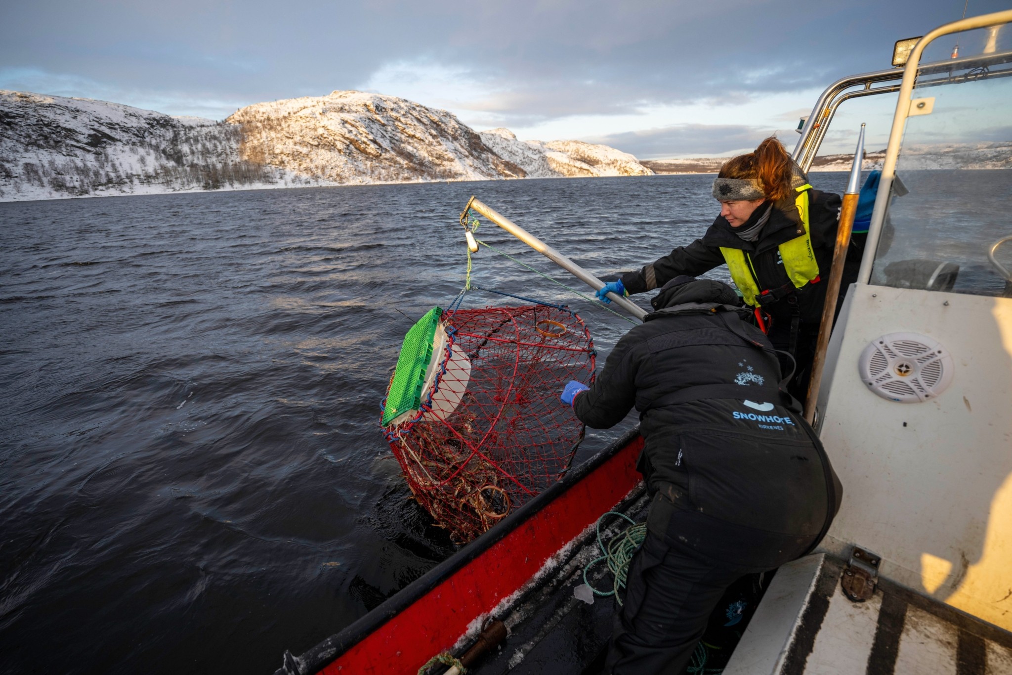To σαφάρι του βασιλικού καβουριού: Η εμπειρία της περιπέτειας στον αρκτικό κύκλο