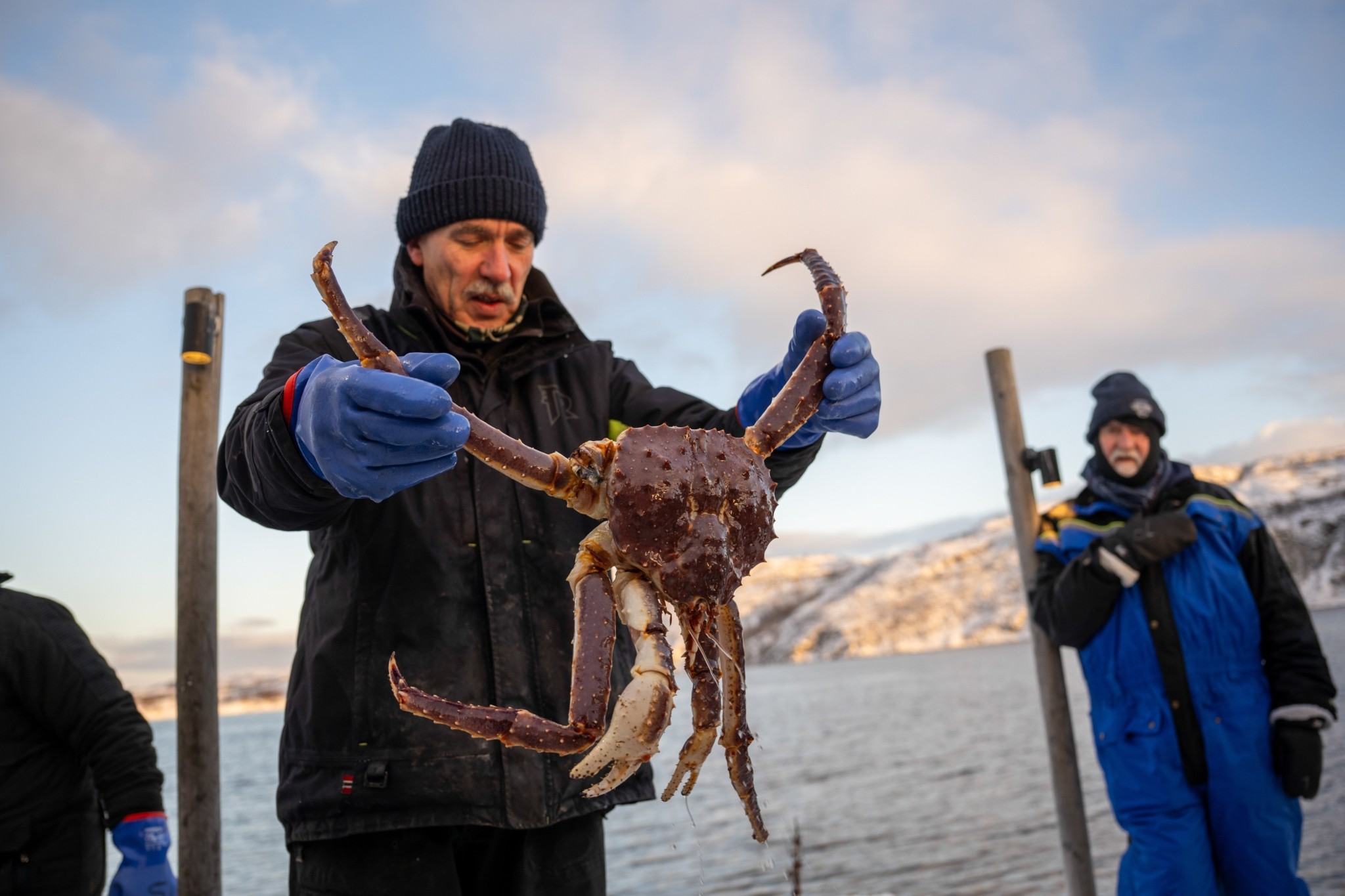 To σαφάρι του βασιλικού καβουριού: Η εμπειρία της περιπέτειας στον αρκτικό κύκλο